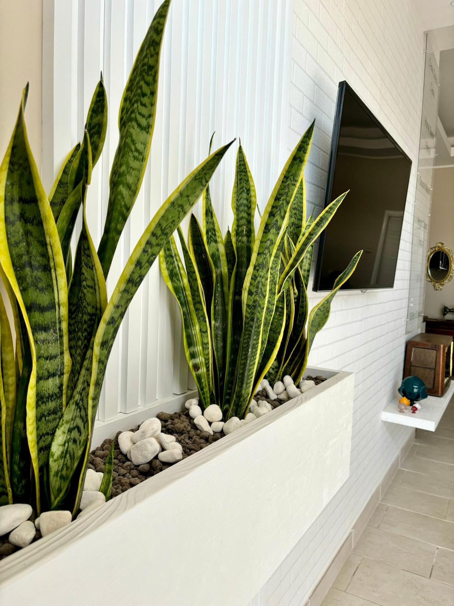 B&B Casa Dolce Casa Nardò Екстериор снимка